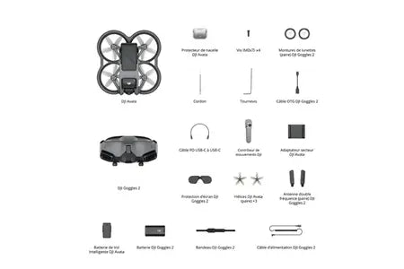 Drone Dji Avata Pro View Combo (+ casque Goggles 2) Dji