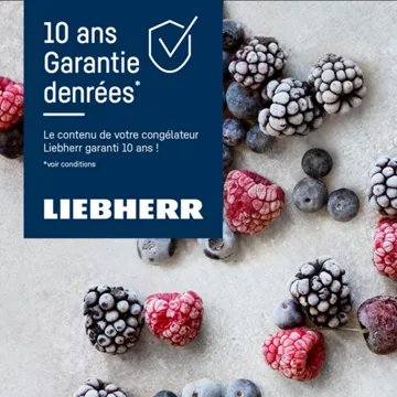 Congélateur encastrable 							LIEBHERR				SIFNSF5128-20