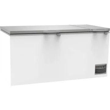 Congélateur pro							IARP				CF 900 SILVER