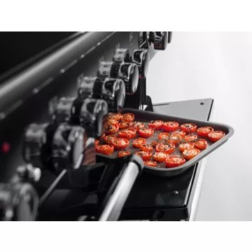 Piano de cuisson gaz							AGA				MASTERCHEF DELUXE 110 MIXTE ROUGE