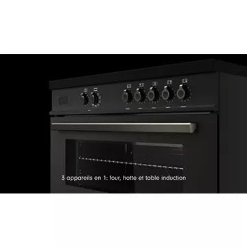 Piano de cuisson induction aspirante							BERTAZZONI				PROCH94I1ENET noir brillant