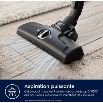 Aspirateur avec sac							ELECTROLUX				EB61A4UG