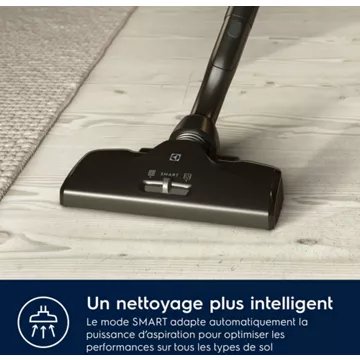 Aspirateur avec sac							ELECTROLUX				Pure D8 Allergy PD82-ALRG