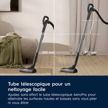 Aspirateur avec sac							ELECTROLUX				EB81U1LDB