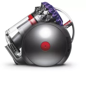 Aspirateur sans sac							DYSON				Big Ball Parquet 2