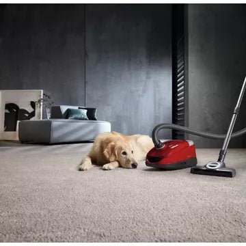 Aspirateur avec sac							MIELE				Compact C2 Cat & Dog Powerline