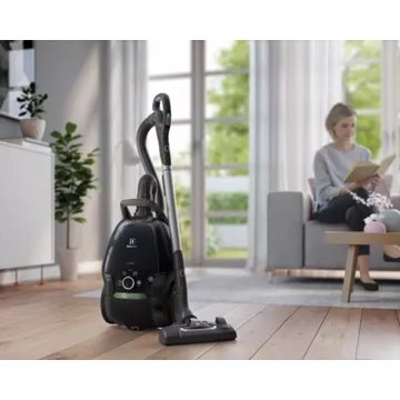 Aspirateur avec sac							ELECTROLUX				PureD9 PD91-GREEN