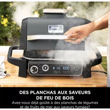 Barbecue électrique							NINJA				Woodfire OG701EU