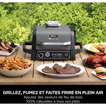 Barbecue électrique							NINJA				Woodfire OG701EU