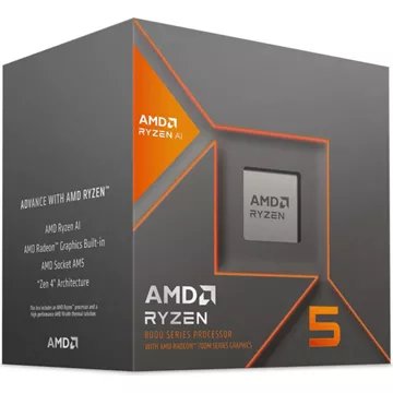 Processeur CPU							AMD				Ryzen 5 8600G