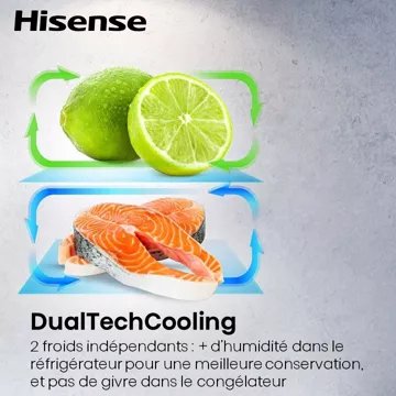 Réfrigérateur multi portes							HISENSE				RQ5P470SMIE