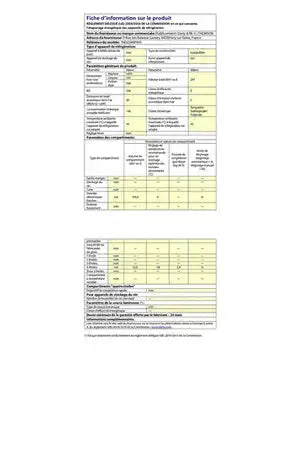 Réfrigérateur congélateur en haut Thomson THD254NFWH Thomson